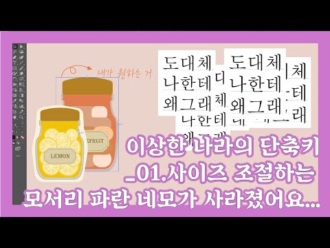 이상한 나라의 단축키 | 01.사이즈 조절하는 모서리 파란 네모가 사라졌어요..._[사부작사부작]