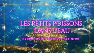 Miniatura de vídeo de "les petits poissons dans l'eau - chanson"