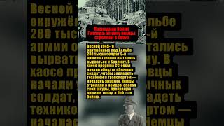 ПОЧЕМУ ВО ВРЕМЯ ПОСЛЕДНЕЙ «БИТВЫ ЗА ГИТЛЕРА» НЕМЕЦКИЕ СОЛДАТЫ СТРЕЛЯЛИ ДРУГ В ДРУГА? #россия #ссср