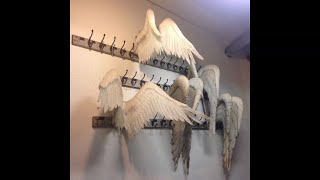 benjamingotbenz x platov x code80/code10 type beat — "seraph"