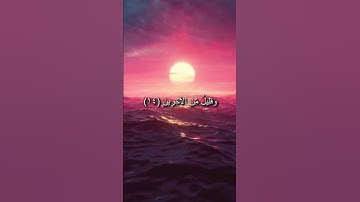 سورة الواقعة - تلاوة هادئة - للقارئ عبد الرحمن العوسي