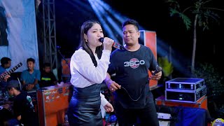 PAELAND MUSIC - BAHTERA CINTA - ROSA MEISYA - WEDDING PARTY SIGIT & SRI