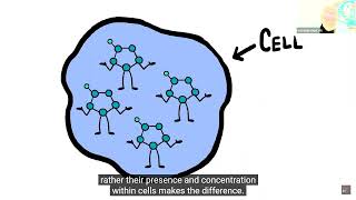 Epigenetics... or Does Darwin Need a Rethink
