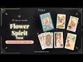 Flower Spirit Tarot | Adorable Pastoral Cartoon Flip Through
