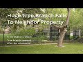 Huge Tree Branch Falls To Neighbor's Property,