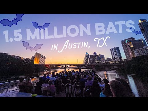 Video: Jak vidět Austin Bats na Congress Avenue Bridge