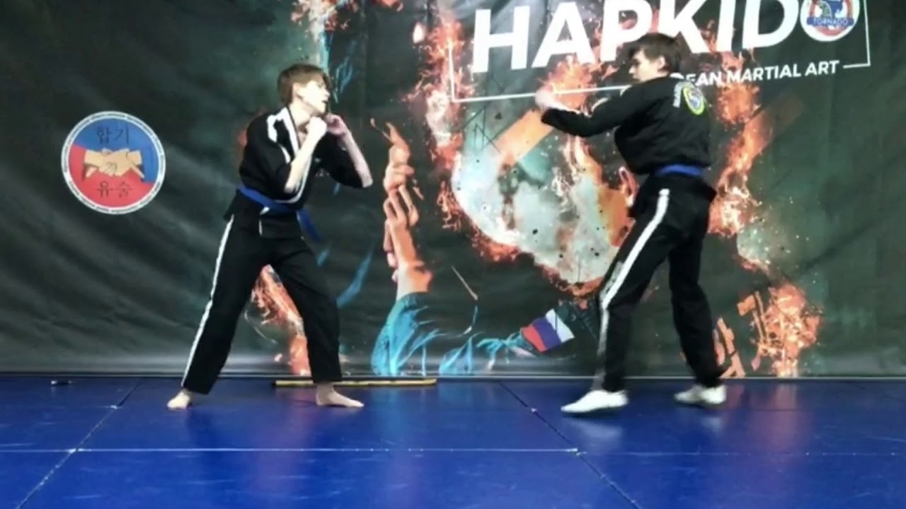 Russia Hapkido Yusul   Filatov Viktor Lutaenko Semen