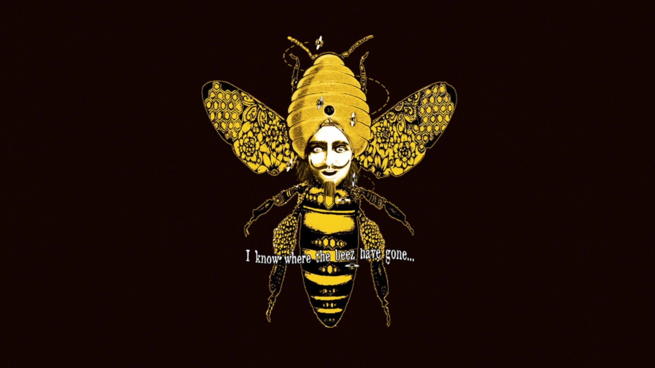 Beez - I Know Where The Beez Have Gone - YouTube