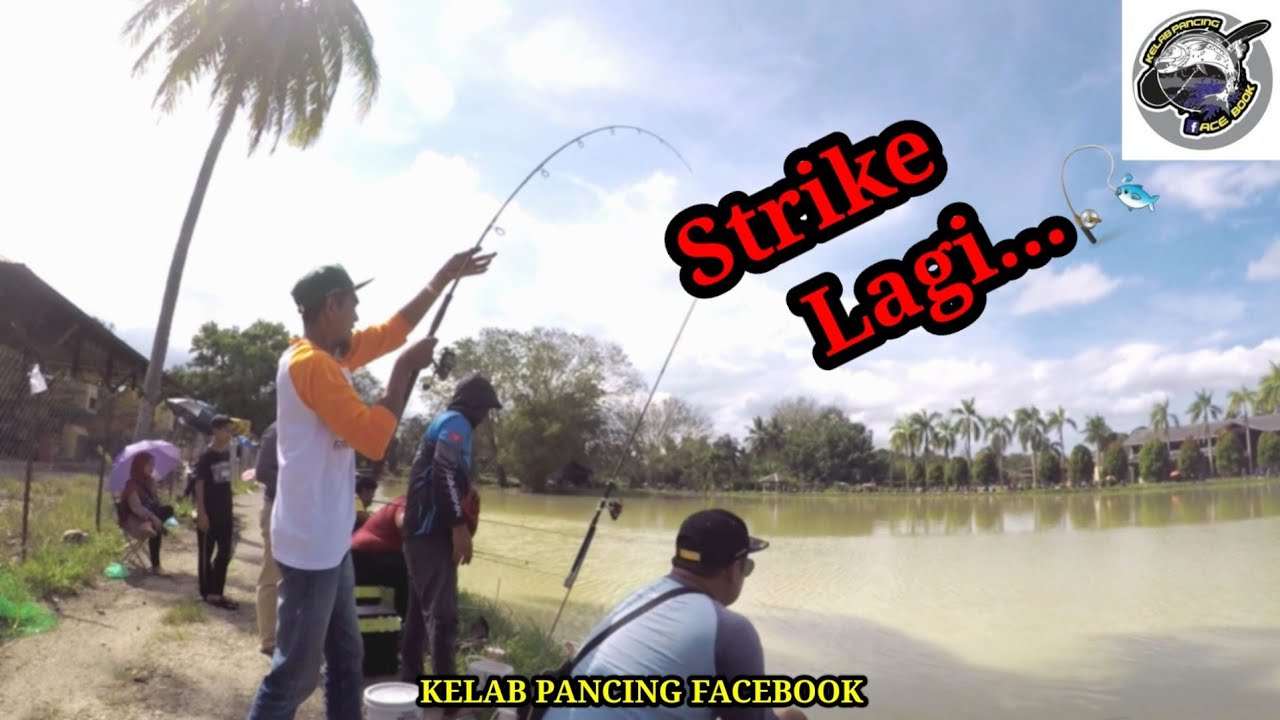 STRIKE IKAN KELI BERTUBI-TUBI DI PERTANDINGAN MEMANCING KOLAM KETARA JUARA RM10,000 -18/2/2022-