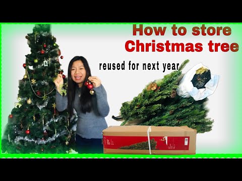 วิธีเก็บต้นคริสต์ให้สวยเหมือนใหม่ เพื่อใช้ปีต่อไป | how to store christmas tree for next year