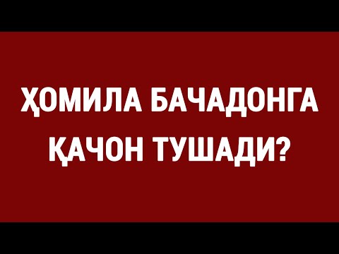 Video: Yo'l yo'laklari o'lchami. Kvadrat, figurali yulka plitalari: narx