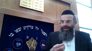 הרה"ג דוד שמואל קלופפר שליט"א | דף יומי חגיגה | י"ח ע"ב