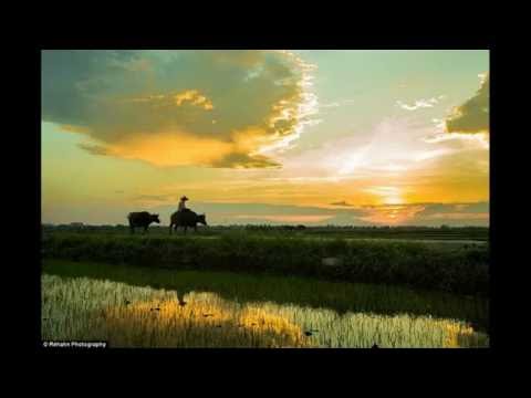 Video Em yêu đất nước Việt Nam - youtube