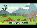 Animal Poop and Its Environmental Importance
