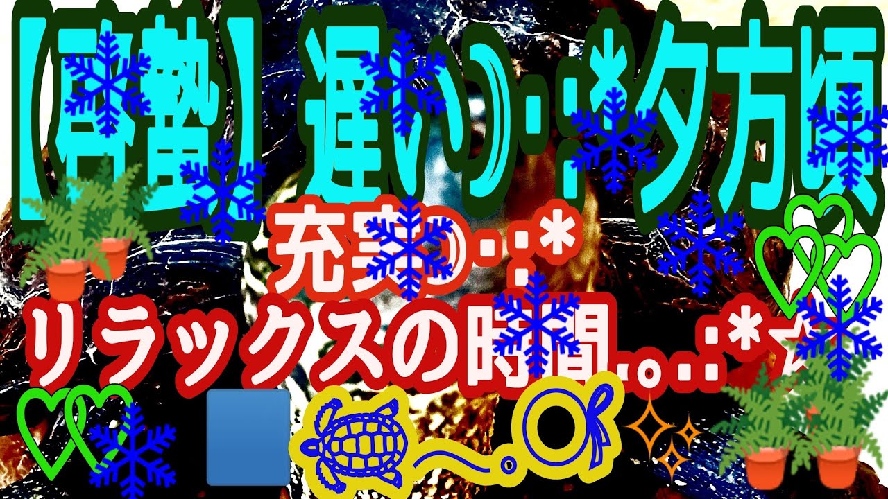 【啓蟄】遅い☽･:*💙✨夕方頃充実とリラックス時間.｡.:*☆