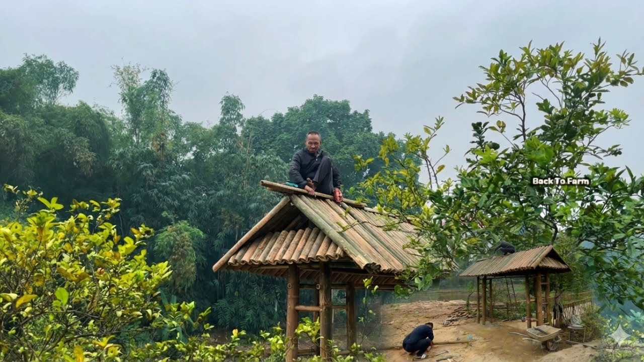 DIY Bamboo Gate Finished! Unexpected Challenges & Sustainable Solutions for Farm Life