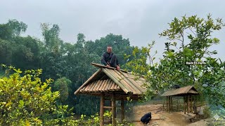 DIY Bamboo Gate Finished! Unexpected Challenges & Sustainable Solutions for Farm Life