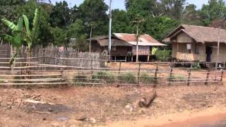 Pakse Saravan Khongxedon By Bus And Pickup Laos