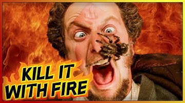 NEXT LEVEL ARACHNIDS  - kill it with fire: heatwave