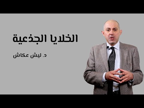 فيديو: المزيد عن العلاج بالخلايا الجذعية للحيوانات الأليفة