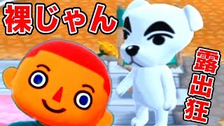 とたけけ、人気キャラだけど「裸じゃん」【どうぶつの森 ポケットキャンプ】
