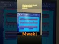 #mwaki #zerb #remix #afrohouse #dj #flstudio #kaliteli