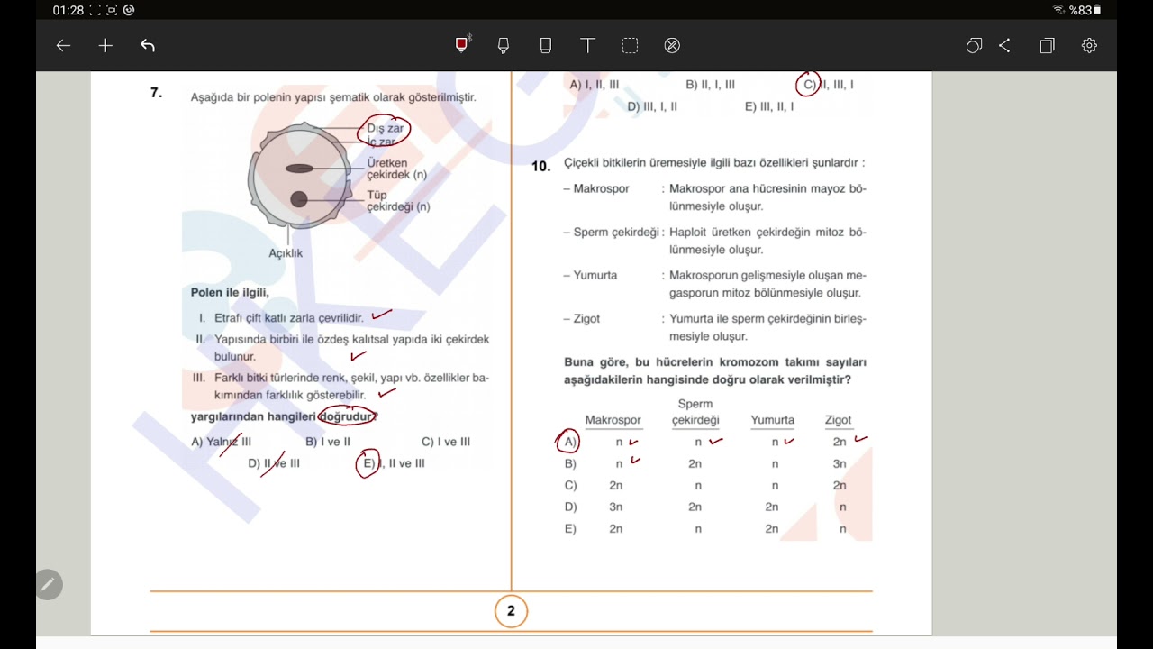 Bitkide Üreme Soru Çözümü