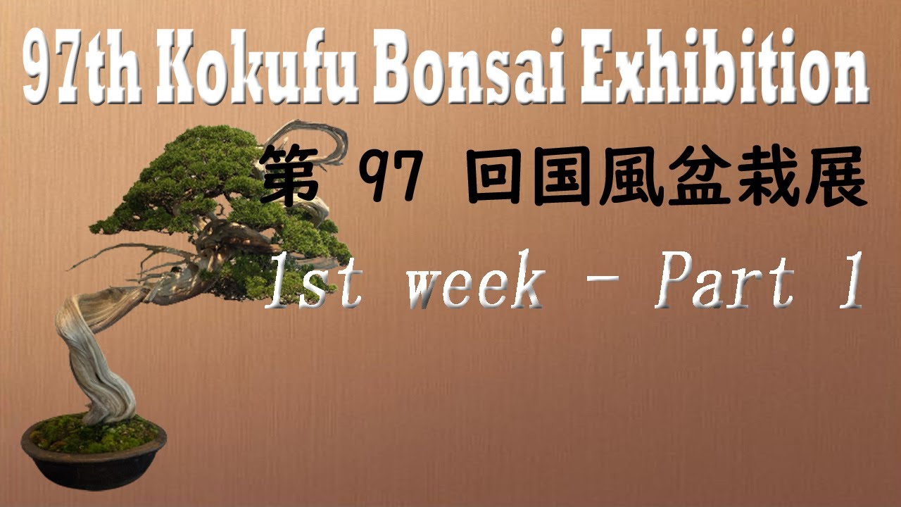 97th KOKUFU BONSAI EXHIBITION 2023 /02/912 1st week. 第97回国風盆栽展（前期）PART