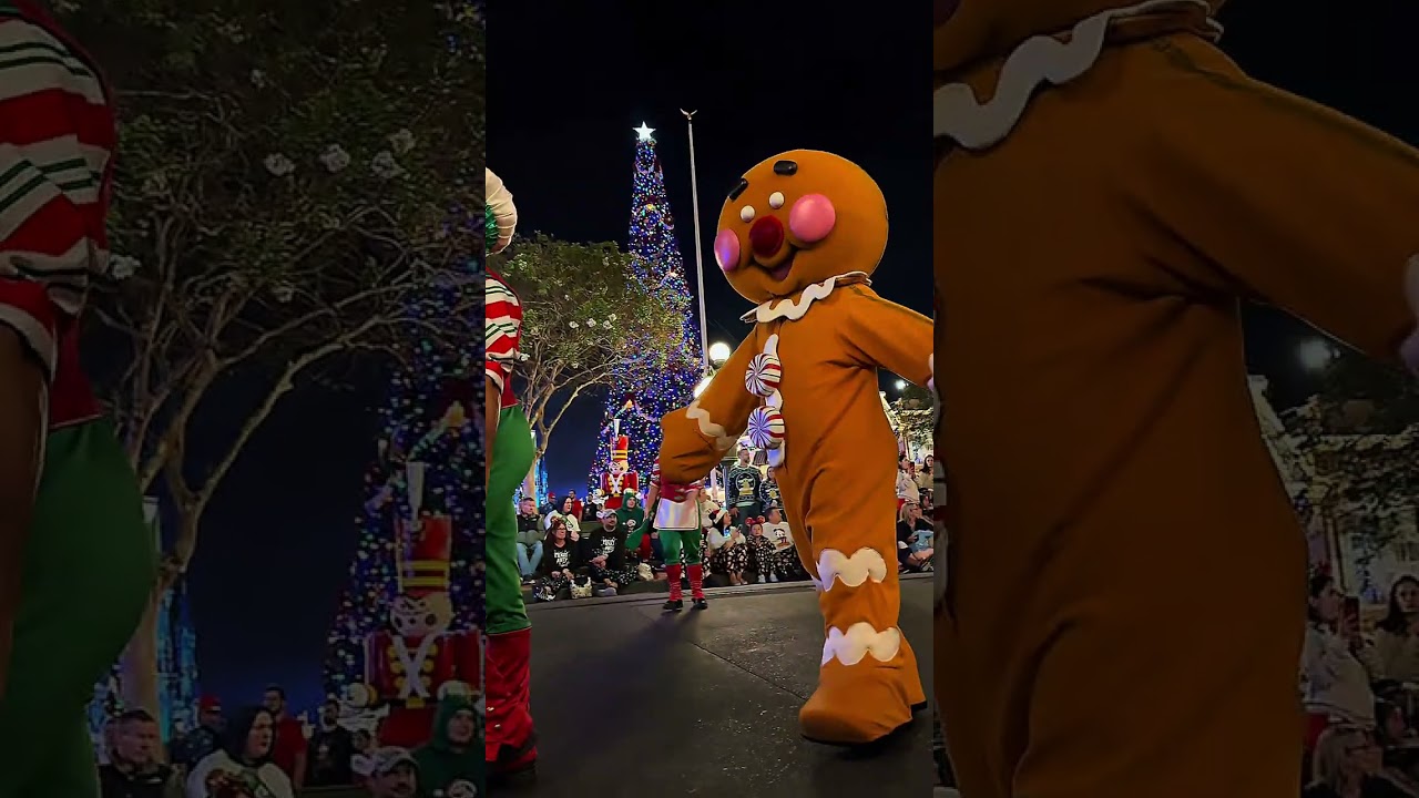 Mickey’s Very Merry Christmas Party in Disney’s Magic Kingdom 