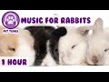 Music for Bunny Rabbits - Calming Music for Your Pet Rabbit.