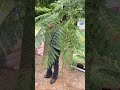 Part 4 official EkPedMaaKeNaam😇🌳