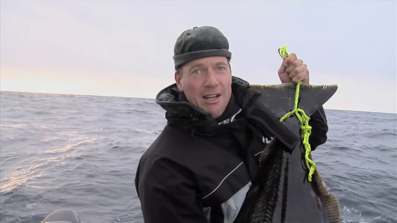 FISH M: Fishing European Flounder in Norway (Fiskedrag S05)