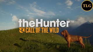 theHunter Call of the wild Looking for Whitetail