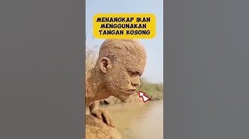 Menangkap ikan menggunakan tangan kosong😱