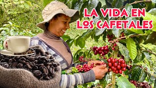 La VIDA en una FINCA productora de CAFÉ  ☕️/ Josué y Elie