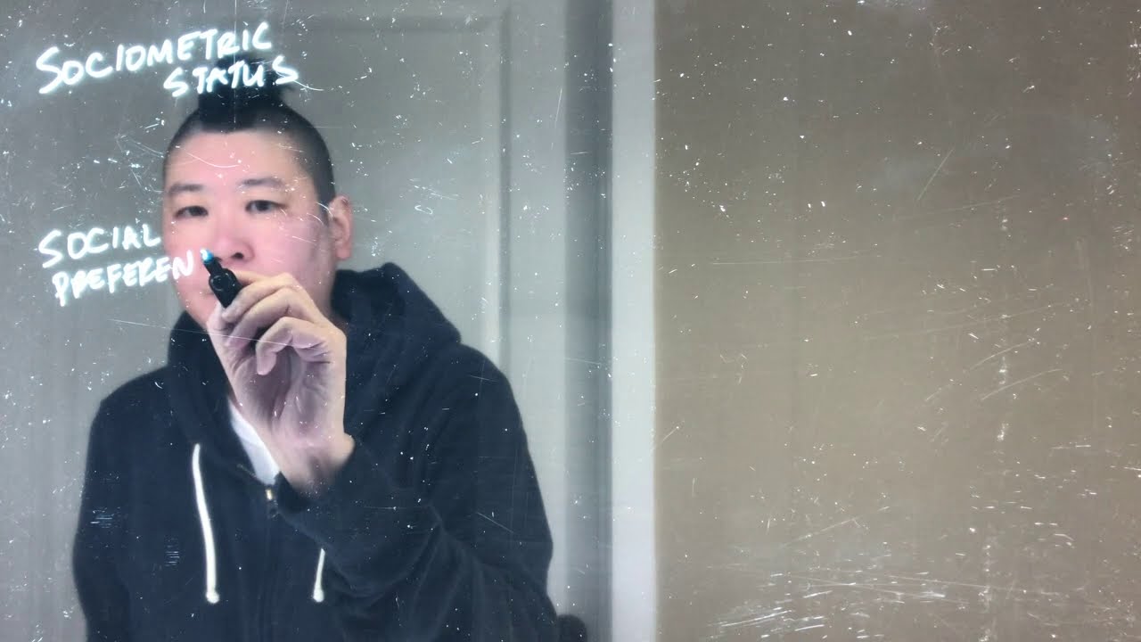 Sociometric Status