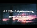 SUPER JUNIOR D&amp;E - キミが泣いたら (When You Cry) | LIRIK SUB INDO