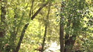 LOTUSWEI L Apothecary Sedona Nature Spa
