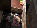 “Mama Eks sam di kagetkan sama si Nuri di kira kenapa2