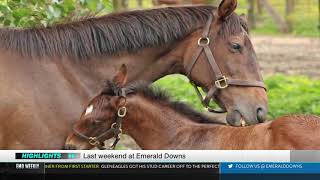 Emerald Downs Weekly 5/2/19