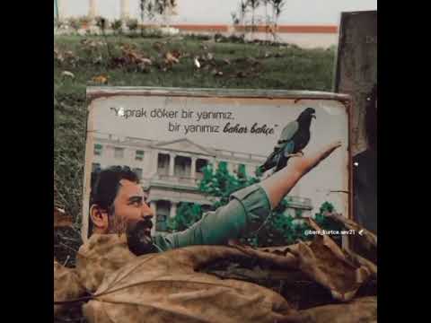 أحمد كايا حزينة 