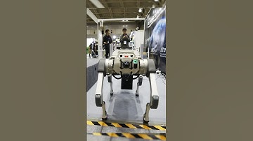 From Industrial Giants to Humanoid Helpers: Highlights of ICRA 2024 | Technology news | Pro robots