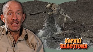 Safari Reactions! Get ready for a wild ride!