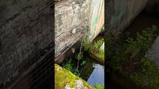 Рейхенбахский водопад)) Сосновская ГЭС. Быв.крупнейшая из частных в Suomi. #travel #гэс #energy