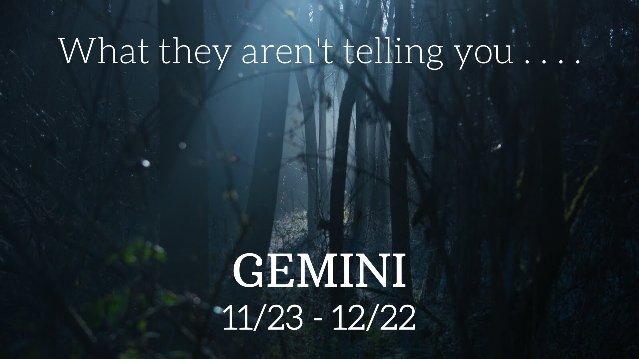 GEMINI: What They Aren't Telling You 11/23 - 12/22
