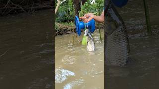 Unbelievable Techniques Trap Fishing System, with big gourd bait#shorts#viral#reels