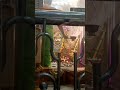 मंगला आरती#jay bhurkhiya hanuman dada #Aarti#viral #shorts #Daksh radhe radhe