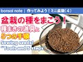 盆栽の種をまこう！種まきの道具と５つの手順｜Sowing seeds!【作ってみようミニ盆栽(4)／bonsai】 #クロマツ #アカマツ #モミジ #ヒメシャラ #サルスベリ #シマトネリコ