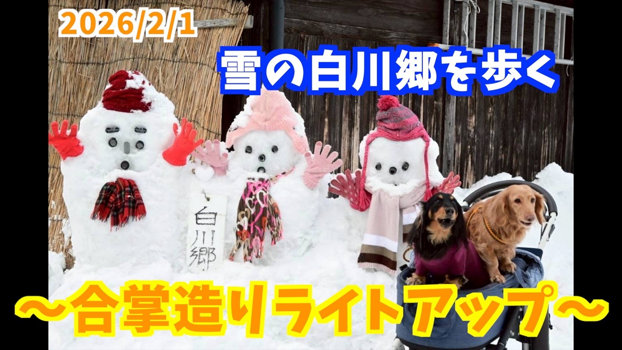 雪の白川郷を犬と歩く夜/合掌造りライトアップ2026 ＃白川郷＃合掌造り＃ライトアップ＃白川郷ライトアップ＃雪景色＃冬の白川郷＃犬連れ旅＃旅Vlog＃NVAN＃Shirakawa-go