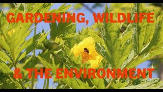 Gardening, Wildlife and the Environment